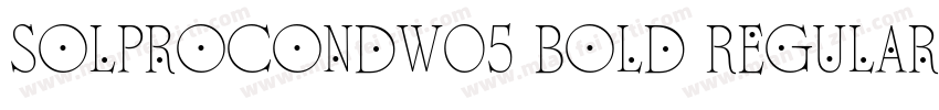 SolProCondW05 Bold Regular字体转换